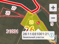 Против сноса незаконных строений прокуратура оказалась бессильна