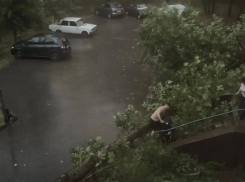 В Минводах дерево рухнуло на машину и окна, в Садовом прошел град: подробности шторма на Ставрополье