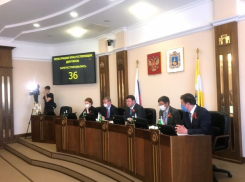 Ставропольский депутат назвал инициативу зампреда краевой думы о продуктах для семей политическим пиаром