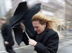 Штормовое предупреждение из-за усиления ветра объявлено на Ставрополье