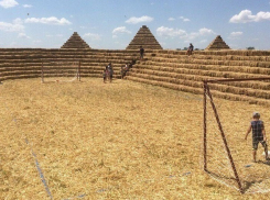 Фантастическую «Зенит-арену» из соломы без «распилов» и коррупции за 5 дней построили под Ставрополем