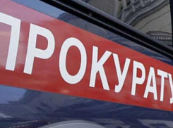 Прокуратура после проверки свалки в Пятигорске не нашла архивных документов