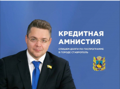 Лицом губернатора Ставрополья рекламируют списание долгов в сети