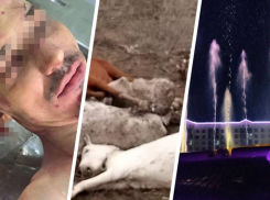 Массовый мор лошадей, смерть в ребцентре и сезон фонтанов взволновали Ставрополье в начале мая 