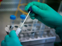 Коронавирус подтвердился у еще 80 пациентов 