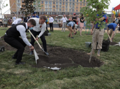 Новый сквер на площади Святого князя Владимира озеленили  сегодня в Ставрополе
