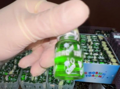 Фитнес-бизнес не удался: 700 килограммов стероидов нашли ставропольские полицейские у подпольных торговцев