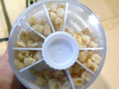 Задержание полутонны зубов на таможне в Минводах попало на видео