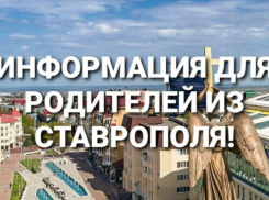 В международной школе программирования «Алгоритмика» в Ставрополе стартует набор учеников 