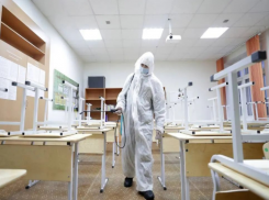 Школьникам Ставрополя объявили дополнительные «ковидные» каникулы на неделю 