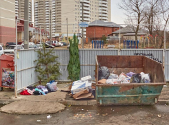 Более 6 миллиардов планирует потратить Эко-Сити на вывоз мусора в Ставрополе