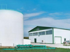 «Молока в достатке — и мы в порядке»: рассказываем о пятигорском производителе молока