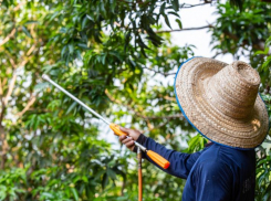 Ставропольский «Андроповский Агрокомплекс» за нарушения с пестицидами получил административный протокол