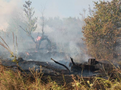 На Ставрополье пожар на пустыре едва не привел к возгоранию заправки и фермерского склада