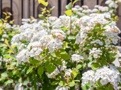 В четверг в Ставрополе будет солнечно и до +26