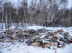 На Ставрополье продолжается борьба со стихийными свалками