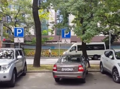 Паркуюсь как хочу: автохамы заняли места для инвалидов на популярных парковках Ставрополя