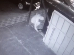 Неизвестный вандал нарисовал загадочные круги на баннере тату-салона в Ставрополе и попал на видео