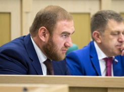  Информация о виде на жительства в ОАЭ у сенатора от КЧР Арашукова оказалась ложной