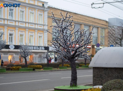 Светодиодные деревья и «Звездное небо» в Ставрополе выучат гимн и флаги за 31 миллион рублей 