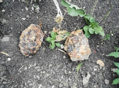 Скинуться саперам на такси до Пятигорска из-за бездействия властей хотят жители улицы с найденными гранатами