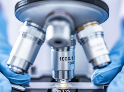 Ставропольские ученые при исследовании коронавируса случайно открыли новое средство от рака