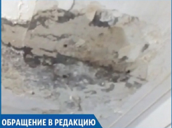 «Крыша течет и нас заливает, а еще даже дождей не было», - жители ставропольского общежития