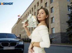 Потратить 37,2 миллиона из бюджета на проведение двухдневного фестиваля планируют власти Ставрополья