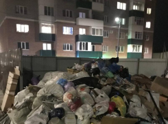 Гора из мусора приветствует жителей трех домов в Ставрополе