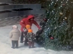 Отец позволил детям залезть в городскую елку в Иноземцево 