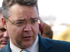 Закон о дистанционке и «смертельные» тесты: губернатор Владимиров развеял «страшилки» про CoVID-19 