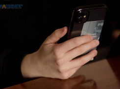 Заказ фейковой проститутки для оказания интим-услуг обошелся гостю Ставрополья в 200 тысяч рублей