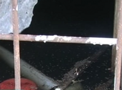 В Невинномысске канализационные стоки затопили подвалы многоэтажек