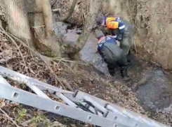 Тело пожилого мужчины вытащили из реки Горькой на Ставрополье
