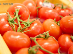 Помидоры по 140 рублей за кило нашли на ставропольских прилавках аналитики