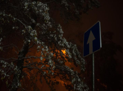 Въезд в леса перед началом осени продлили на Ставрополье 