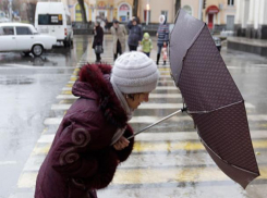 «Ветер, ты могуч»: разбираем последствия ставропольской непогоды 