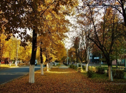 Теплый погожий день без осадков ждет Ставрополь 13 ноября 