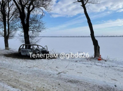 Семейное авто загорелось после столкновения с деревом на трассе на Ставрополье