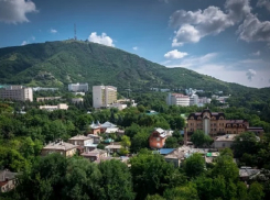 Прокуратура не позволила отдать участок леса под застройку в Пятигорске 