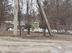 Улица Коломийцева на окраине Ставрополя погрязла в мусорных отходах