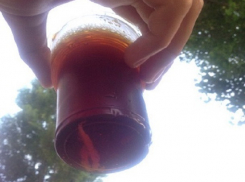 Подозрительного вида квас разливают в уличных будках в Ставрополе 