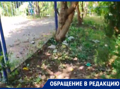 Битые стекла, шприцы и падающие деревья угрожают детям из Ставрополя