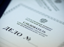 На главу бюро медико-социальной экспертизы завели 54 уголовных дела