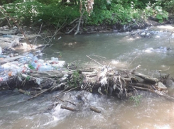Реку перекрыли рухнувшие деревья и горы мусора в Пятигорске 