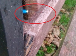 О новом «челлендже» с зараженными ВИЧ иголками предупредили ставропольчан