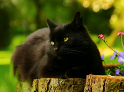Вторник порадует ставропольчан солнцем и теплом