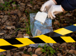 Тела двух судимых мужчин обнаружил на своем участке житель Ставрополья 