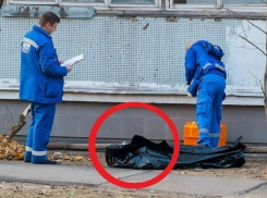 Найденный во дворе труп женщины уже месяц не могут опознать в Ставрополе