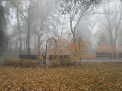 Теплый и сухой день ждет жителей Ставрополья в субботу 